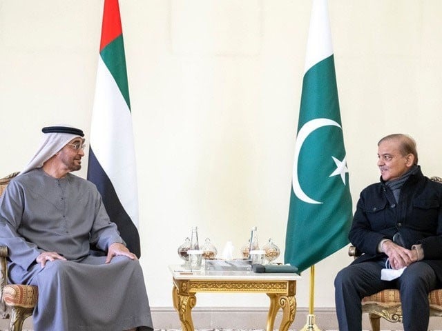 صدریواے ای نے شہباز شریف کو پاکستان میں بڑی سرمایہ کاری کی یقین دہانی کرادی