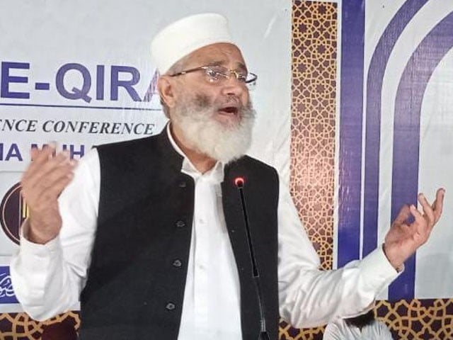 ایک شہزادی لندن سے آکر کہتی ہے میرا بھرپور استقبال کیا جائے، سراج الحق