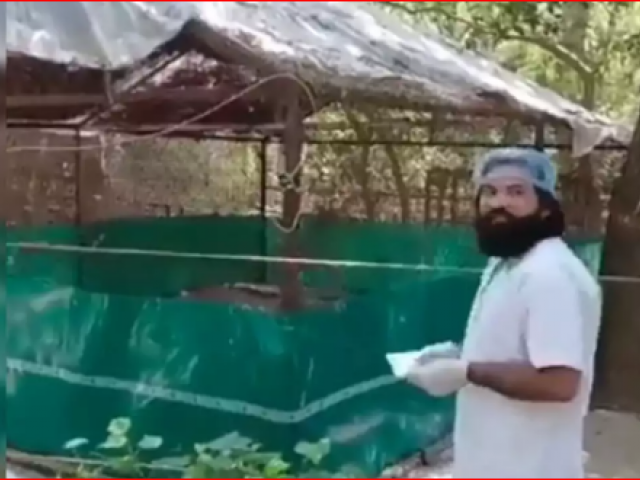 جان بچانے والے محسن کو عرصے بعد دیکھ کر پرندہ جذباتی ہوگیا