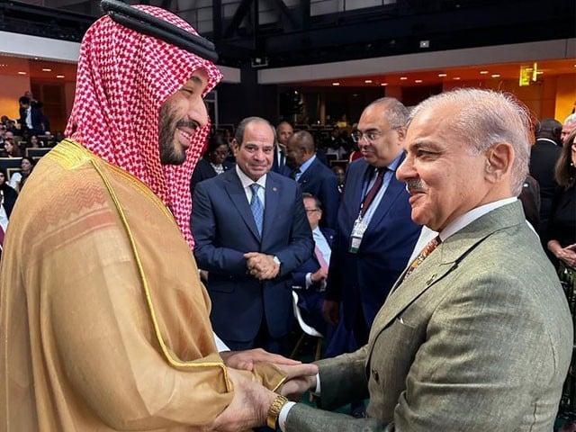پیرس میں وزیراعظم شہباز شریف کی سعودی ولی عہد سے ملاقات