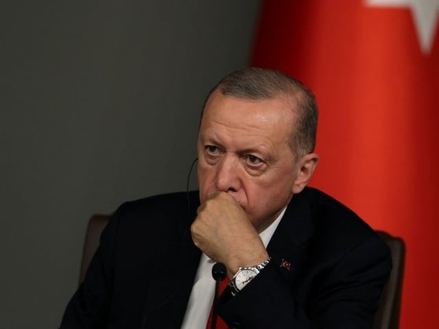 سویڈن کی نیٹو رکنیت کیلئے ترکی کو یورپی یونین میں شامل کرنا ہوگا، ترک صدر