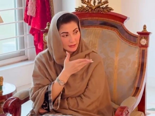 عوام کو ریلیف دینے کیلیے صرف مہنگائی کا شکار کریں گے، مریم نواز
