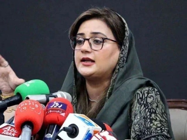 ایس سی او کانفرنس سے تحریک فساد والے خوش نہیں، وزیر اطلاعات پنجاب