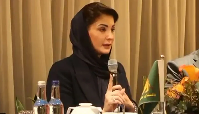 ایک خاتون جس کا سیاست سے تعلق نہیں اس نے پاکستان کے دوست ملک پرحملہ کیا