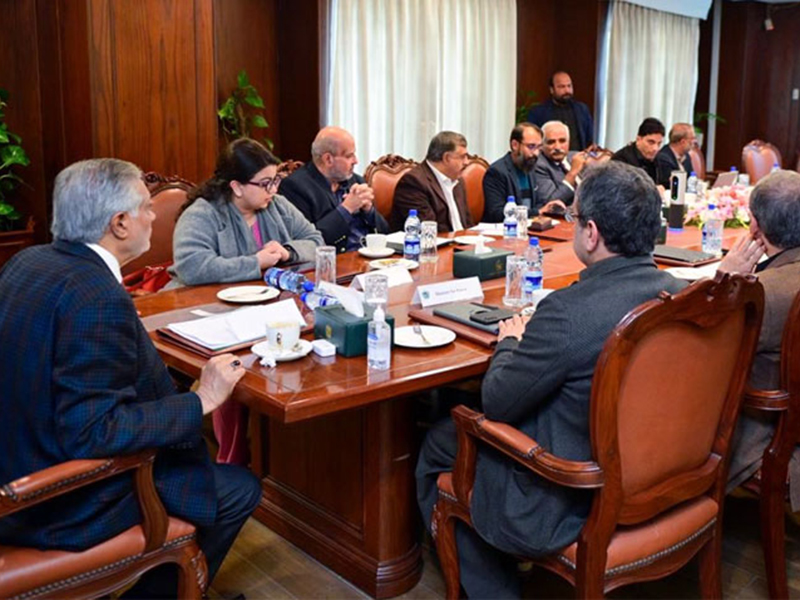 نائب وزیرِاعظم کی صنعتی بجلی صارفین کو ریلیف فراہم کرنے کی ہدایت