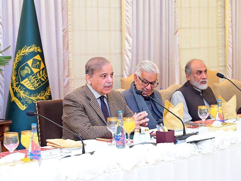وزیراعظم سے نئے کابینہ ممبران کی ملاقات، معاشی و سیاسی صورتحال پر گفتگووشنید