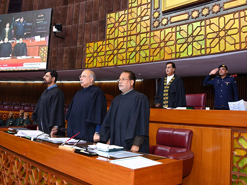 گزشتہ 5 سال کے خسارے کی تفصیلات ایوان میں پیش