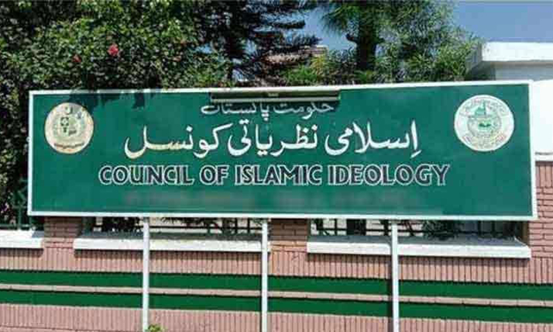 پاک سعودیہ معاہدہ، بیرونی سازشوں خطرات کیخلاف موثر آواز، بیرسٹر عتیق