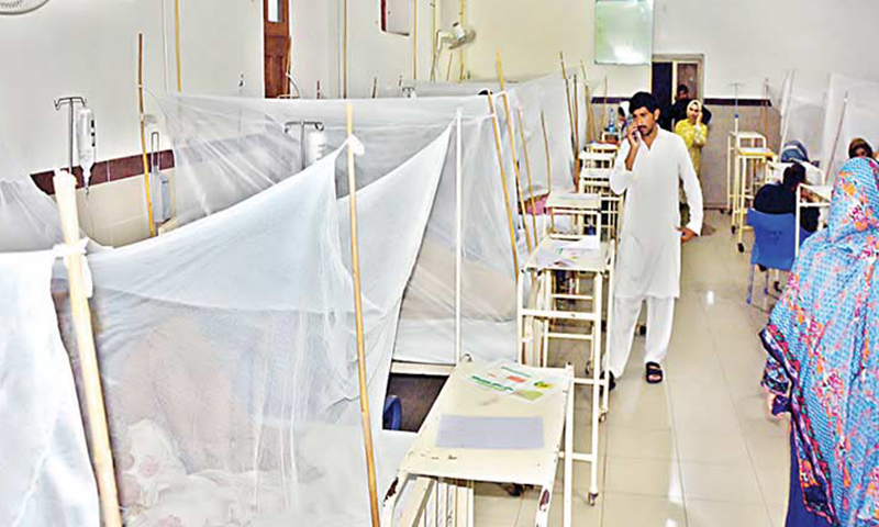 ڈینگی کے اسلام آباد میں 18نئے مریض ،پنڈی میں 46زیر علاج