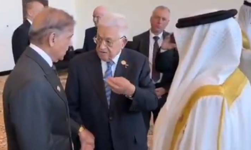 شہباز شریف کی شرم الشیخ میں فلسطینی صدر سے ملاقات، جنگ بندی پر اظہار اطمینان