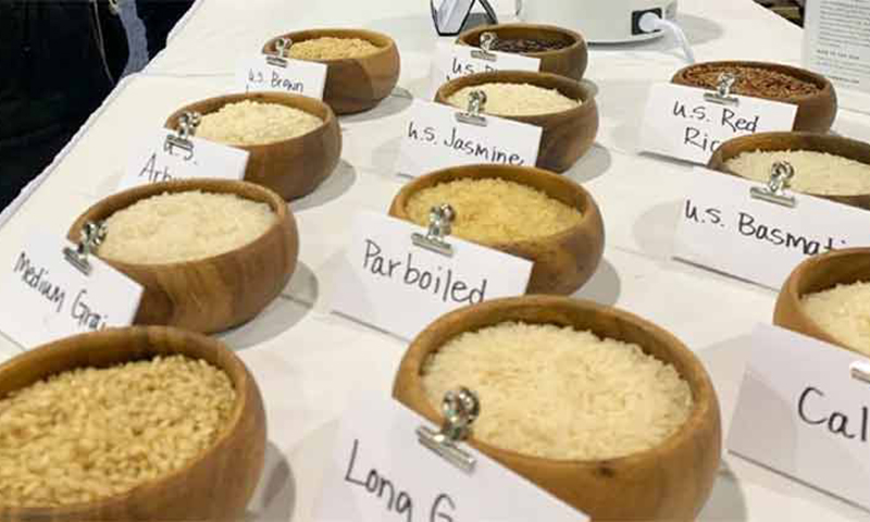 یورپ میں پاکستانی چاول کی فروخت میں کمی کا اندیشہ    بھارتی تاجروں نے ڈھائی سو سے لے کر300 ڈالر تک فی ٹن کم ریٹ دیے